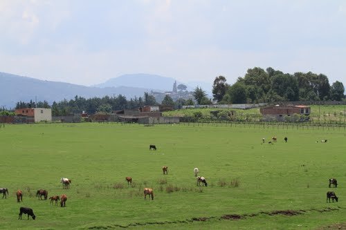 Jaracuaro (2)