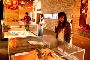 ruta don Vasco2