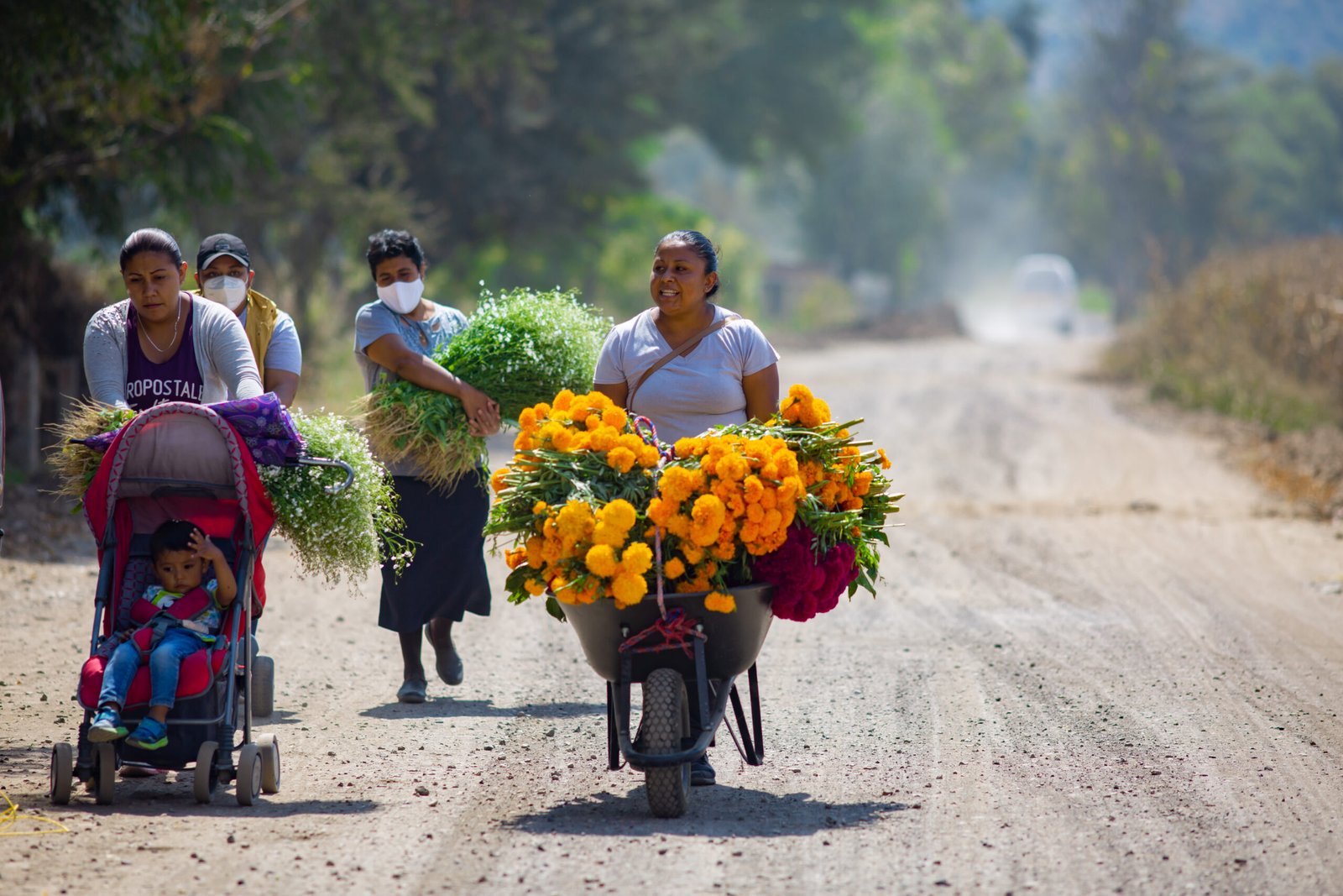 Preparativos florales para las celebraciones de Noche de Muertos